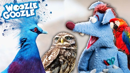 Woozle Goozle Die Vögel