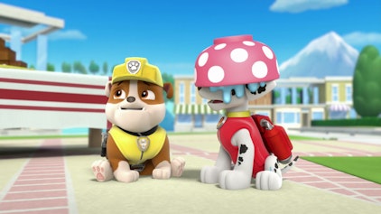 PAW Patrol - Helfer auf vier Pfoten Der Kuchenback-Wettbewerb