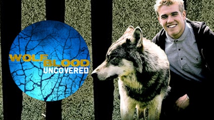 Wolfblood Entschlüsselt