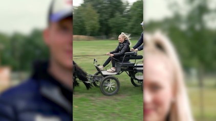 Hypezeit Shorts So Schnell sind Hella Gabberts Ponys!