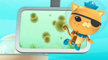 Das Okto-Lied Die Algenplage