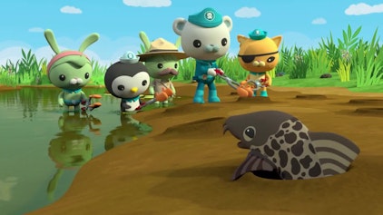 Die Oktonauten Die Oktonauten und das große Sumpfabenteuer