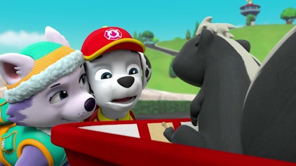PAW Patrol - Helfer auf vier Pfoten Das Stinktier