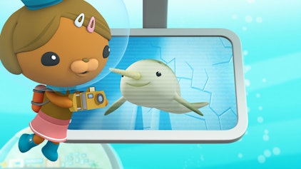 Das Okto-Lied Der Narwal