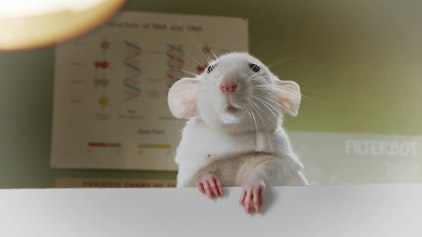 Willkommen bei den echten Louds Ein Tag wie kein anderer