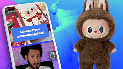 Hypezeit Shorts Labubu Hype zusammengefasst