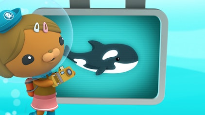 Das Okto-Lied Der Pottwal