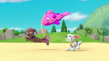 PAW Patrol - Helfer auf vier Pfoten Der Delfin-Freund