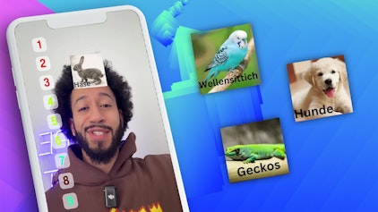 Hypezeit Shorts Haustiere Ranking