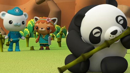 Die Oktonauten auf dem Festland Die Bambusbeschaffung