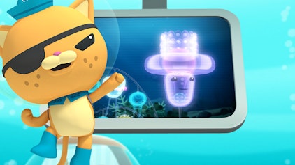 Das Okto-Lied Die Staatsqualle