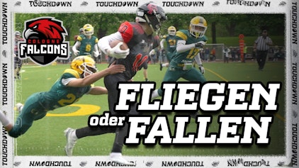 Being a Falcon - Eine Saison mit den Cologne Falcons Fliegen oder Fallen
