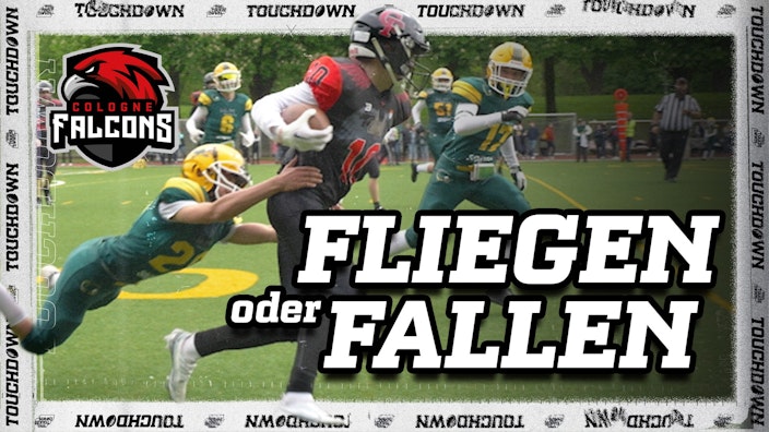 Being a Falcon - Eine Saison mit den Cologne Falcons Fliegen oder Fallen
