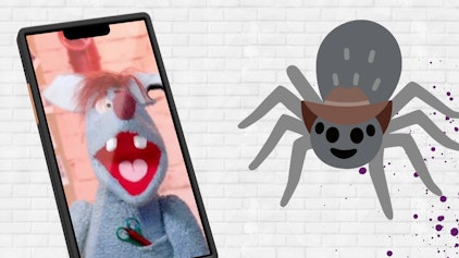 Woozle Shorts Spinne im Zimmer