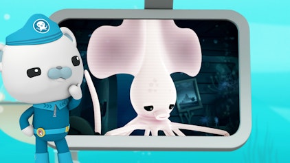 Das Okto-Lied Der Langarm-Kalmar