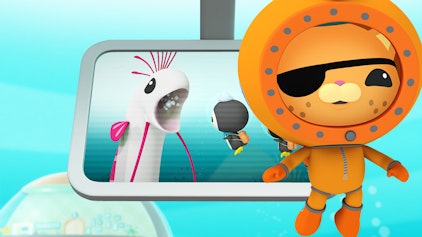 Das Okto-Lied Der Riemenfisch