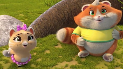 44 Cats Die Zirkuskatzen