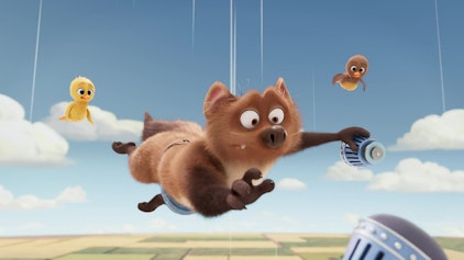 Weasy Family Mission Swimmingpool