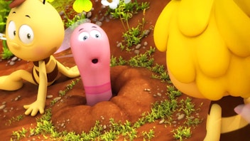 Die Biene Maja Der Buschwindbote