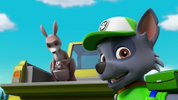 PAW Patrol - Helfer auf vier Pfoten Das entlaufene Känguru