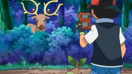 Pokémon: Diamond and Pearl Stur wie ein Pokémon