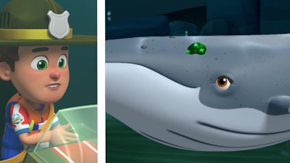 Ranger Rob Die Walbeobachter vom Tier-Spaß-Park