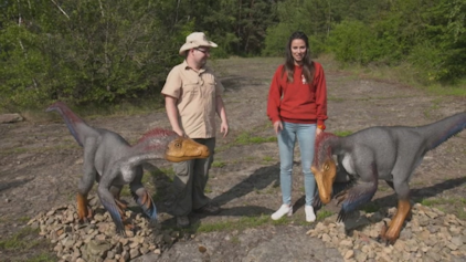 Woozle Goozle und die Weltentdecker Dinosaurier Teil 1