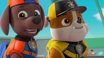 PAW Patrol - Kurze Clips Ein Wal in Not
