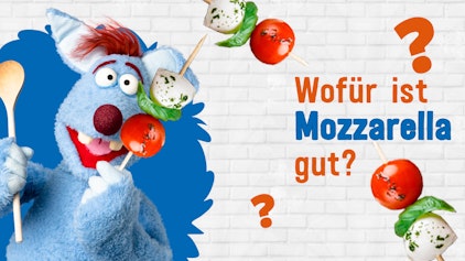 Frag Woozle! - Die Antworten Wofür ist Mozzarella gut?