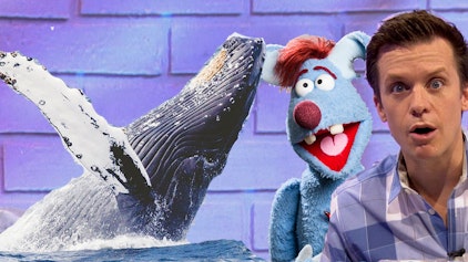 Woozle Goozle Wale & Märchen