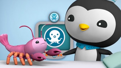 Die Oktonauten Die Oktonauten und die Pelikane