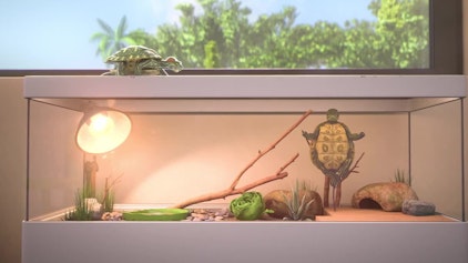 Mighty Mops Kung Fu Kröten