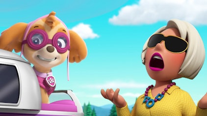 PAW Patrol - Helfer auf vier Pfoten Wer hat das sauberste Auto?