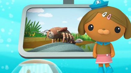 Das Okto-Lied Lied: Flusskrebse