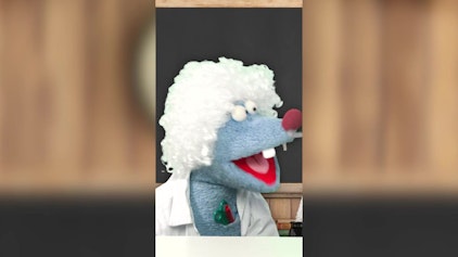 Woozle Shorts Matheunterricht