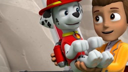 PAW Patrol Video Lukas Stern in Not / Der Hühnchen-Tag