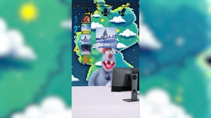 Woozle Shorts Das beste Wetter