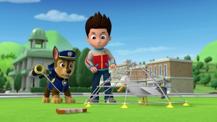 PAW Patrol - Helfer auf vier Pfoten Die Gänse kommen