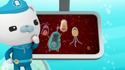 Das Okto-Lied Mikroben (Der verborgene See)