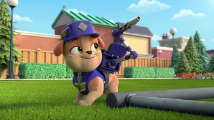 Rubble & Crew - Kurze Clips Der Turn-Parcours