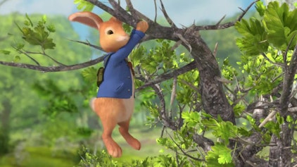 Peter Hase Die Geschichte vom kaputten Bett