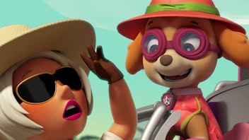 PAW Patrol - Kurze Clips Das Verschwinden des tanzenden Flamingos