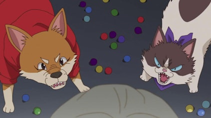 Bakugan Lügner werden reingelegt