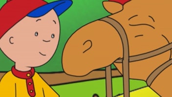 Caillou Caillous Kamelausritt / Der große Hügel / Das Rätsel der Fliegenden Untertasse