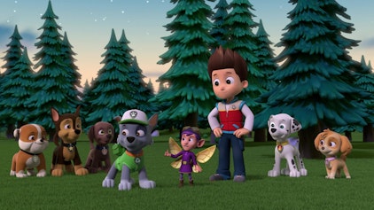 PAW Patrol - Helfer auf vier Pfoten Die Fellfreunde retten die Zahnfee