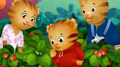 Der kleine Tiger Daniel Ausflug in den Zaubergarten /  Ein Besuch in der Wachsstiftfabrik