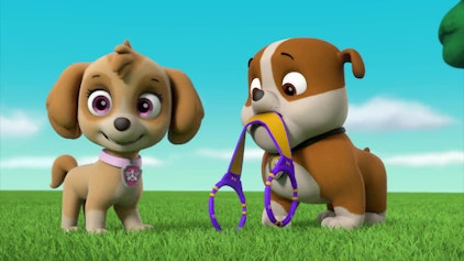 PAW Patrol - Helfer auf vier Pfoten Die mutigen Fallschirmspringer