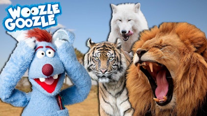 Woozle Goozle Verdauung & Raubtiere