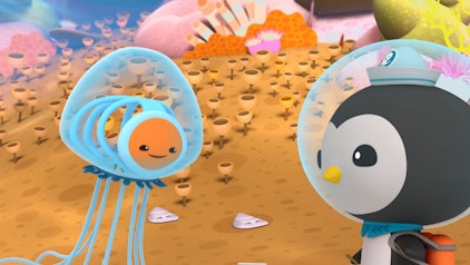 Die Oktonauten Die Oktonauten und die unsterbliche Qualle