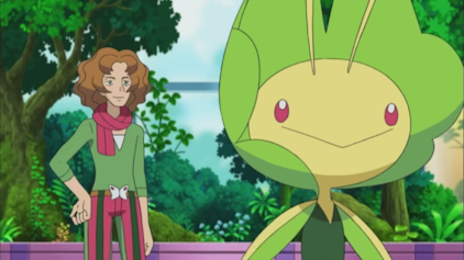 Pokémon: Schwarz & Weiß Ein gut gewürzter Arenakampf!